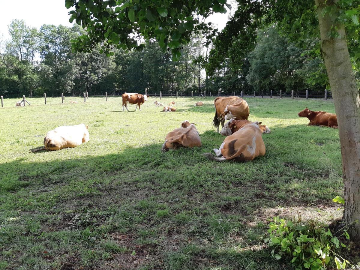 Spreewaldpension Glatz Myšyn Buitenkant foto